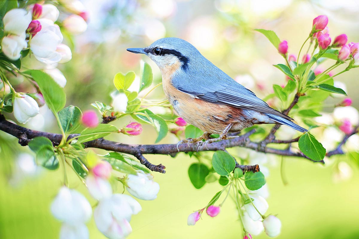 General Background 02 - 1200px