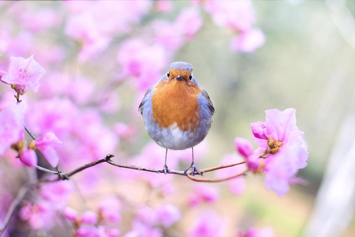 General Background 03 - 1200px