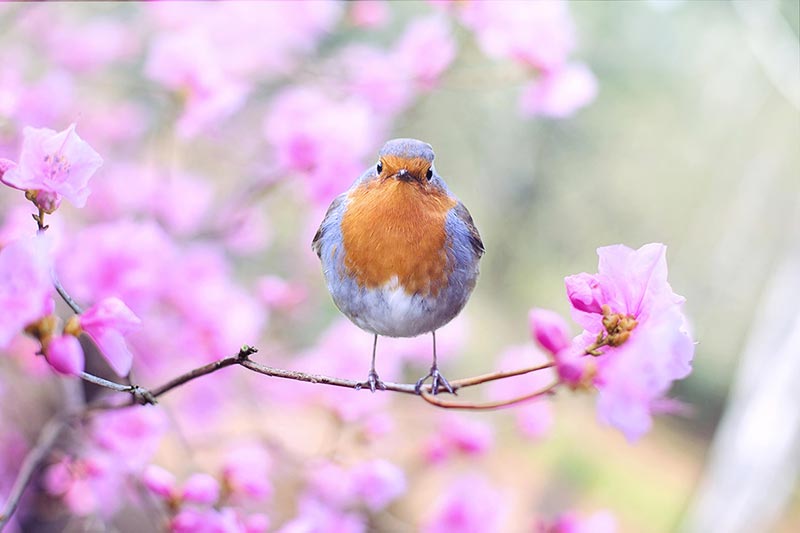 General Background 03 - 800px