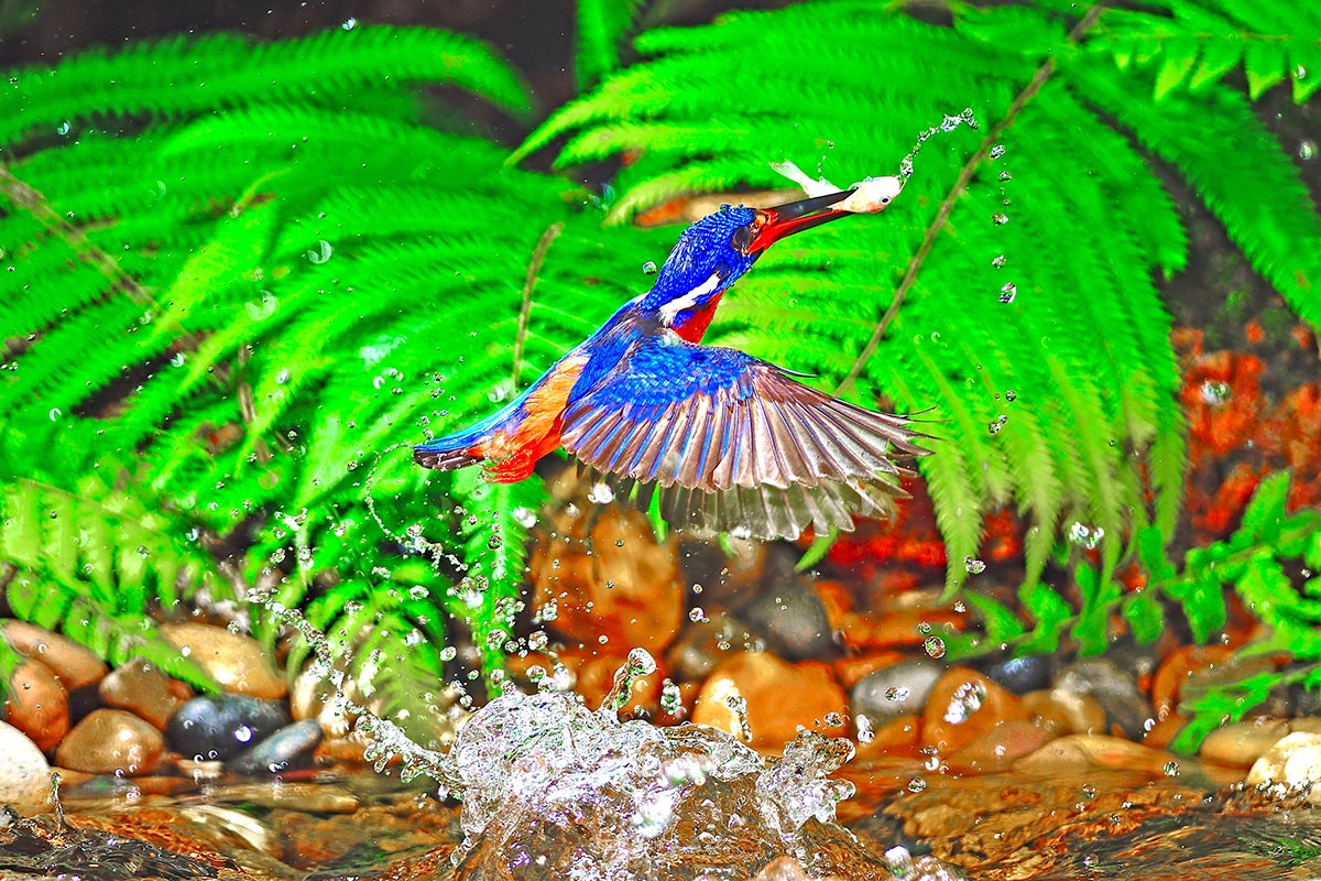 General Background 05 - 1200px