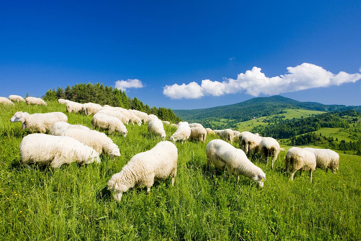 General Background 10 - 1200px