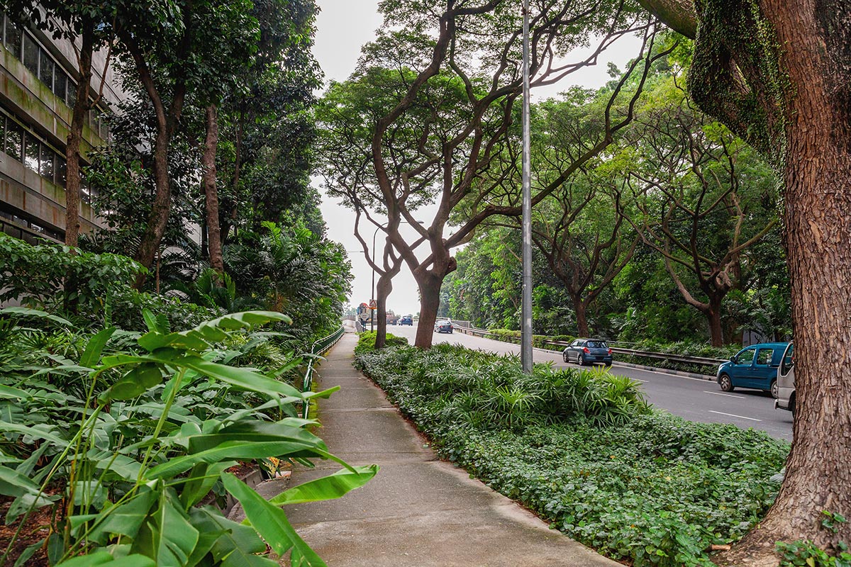 General Background 22 - Singapore - 1200px